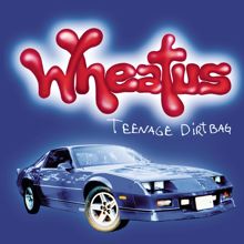 Wheatus: I'd Never Write A Song About You