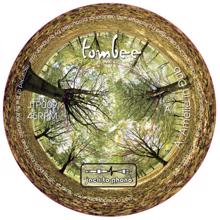 Tombee: Amelie In Dub (Diesler & Capstone Remix)