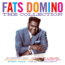Fats Domino: It Keeps Rainin'