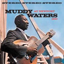 Muddy Waters: Muddy Waters At Newport 1960