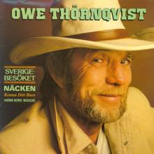 Owe Thörnqvist: Sverigebesöket