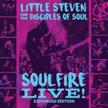 Little Steven, The Disciples Of Soul: Soulfire (Live, 2017)