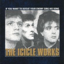 The Icicle Works: Everybody Loves to Play the Fool