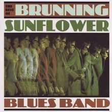 Brunning Sunflower Blues Band: Put A Record On