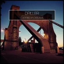 Driller: Boogie Step (Original Mix)