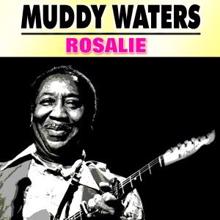 Muddy Waters: Joe Turner