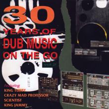 Sly & Robbie: 30 Years of Dub Music on the Go, Vol. 2