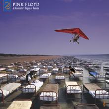 Pink Floyd: A Momentary Lapse Of Reason (2019 Remix)