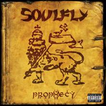Soulfly: March on River Dina