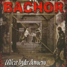 Bachor: Ulica byla domem