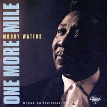 Muddy Waters: Cold Up North