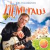 Joel Hallikainen: Riemuralli