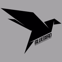 Bluebird: Ours to Protect