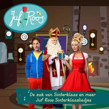 Juf Roos: De zak van Sinterklaas en meer Juf Roos Sinterklaasliedjes