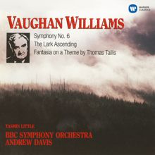 Andrew Davis: Vaughan Williams: Symphony No. 6, "The Lark Ascending", Fantasia On A Theme By Thomas Tallis, Fantasia on Greensleeves, The Wasps-Overture