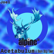 Joel: Acetabulum / Shore Ship Tower