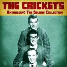 The Crickets: Baby, My Heart (Alt Take) (Remastered)