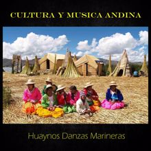 Alejandro Vivanco: Cultura y Musica Andina, Huaynos Danzas Marineras