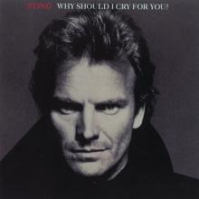 Sting: Why Should I Cry For You? (Spanish Version) (Why Should I Cry For You?)