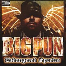 Big Pun: The Dream Shatterer