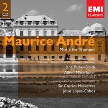 Maurice André, Jane Parker-Smith: Mozart: Exsultate, jubilate, K. 165/158a: III. Alleluia (Arr. for Trumpet and Organ)