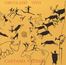 Caetano Veloso: Voce E Linda (Live In Brazil / 1992)