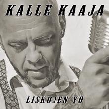 Kalle Kaaja: Liskojen yö