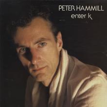 Peter Hammill: Accidents
