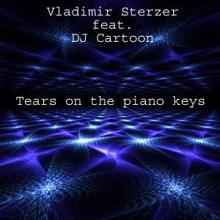 Vladimir Sterzer feat. DJ Cartoon: Tears on the Piano Keys