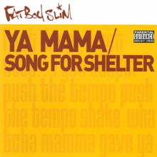 Fatboy Slim: Song for Shelter