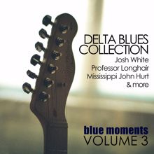 Various Artists: Delta Blues Collection: Blue Moments, Volume 3