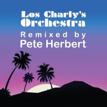 Los Charly's Orchestra: Feeling High (Pete Herberts Deep Disco House Rework)