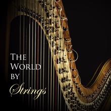 Irving Cottler Orchestra: The World by Strings