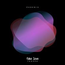 Phoenix: Fake Love(Teaser)