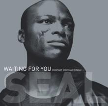 Seal: Waiting for You (29 Palms Remix Edit)