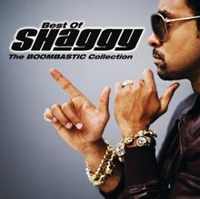 Shaggy: The Boombastic Collection - Best Of Shaggy (International Version) (The Boombastic Collection - Best Of ShaggyInternational Version)