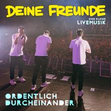 Deine Freunde: ordentlich durcheinander (Live) (ordentlich durcheinanderLive)