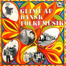 Various Artists: Glimt af dansk folkemusik