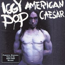 Iggy Pop: Wild America