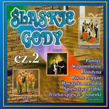 Various Artists: Slaskie Gody cz. 2