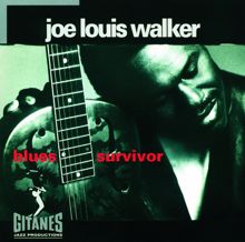 Joe Louis Walker: Blues Survivor