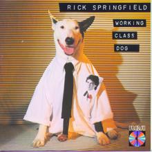 Rick Springfield: Working Class Dog