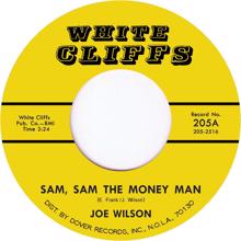 Joe Wilson: Sam Sam the Money Man