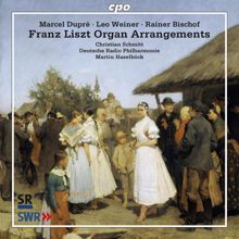 Martin Haselböck: Franz Liszt - Arrangements
