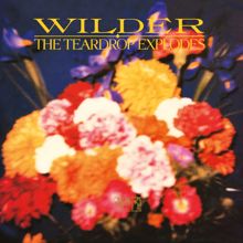 The Teardrop Explodes: Wilder (Remastered Expanded Edition) (WilderRemastered Expanded Edition)