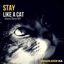 Sharleen Ka: Stay Like a Cat