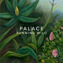 Palace: Running Wild