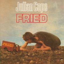 Julian Cope: Land Of Fear