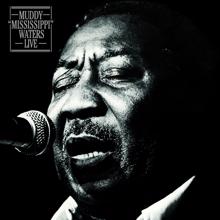 Muddy Waters: She Moves Me (Live)