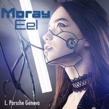L.porsche: Moray Eel